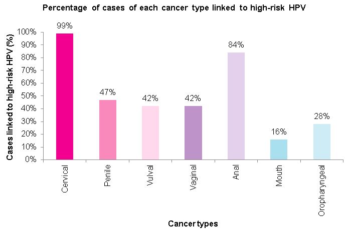 hpv causes what percent of cervical cancer